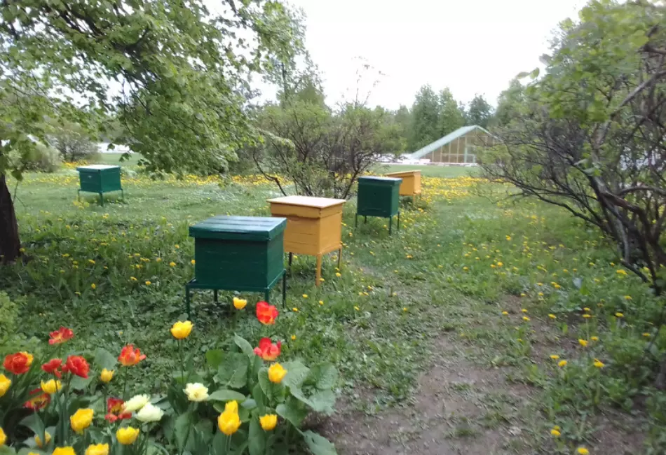 Усадьба пасечника в Коломенском