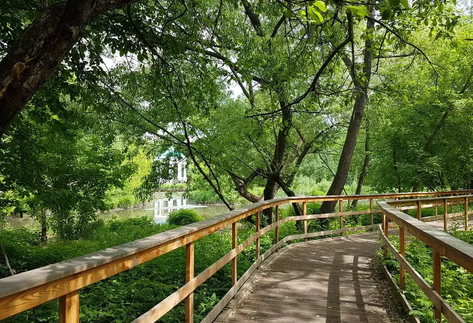 Затерянный мир дворянской Москвы